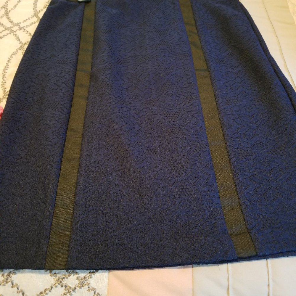Blue Skirt